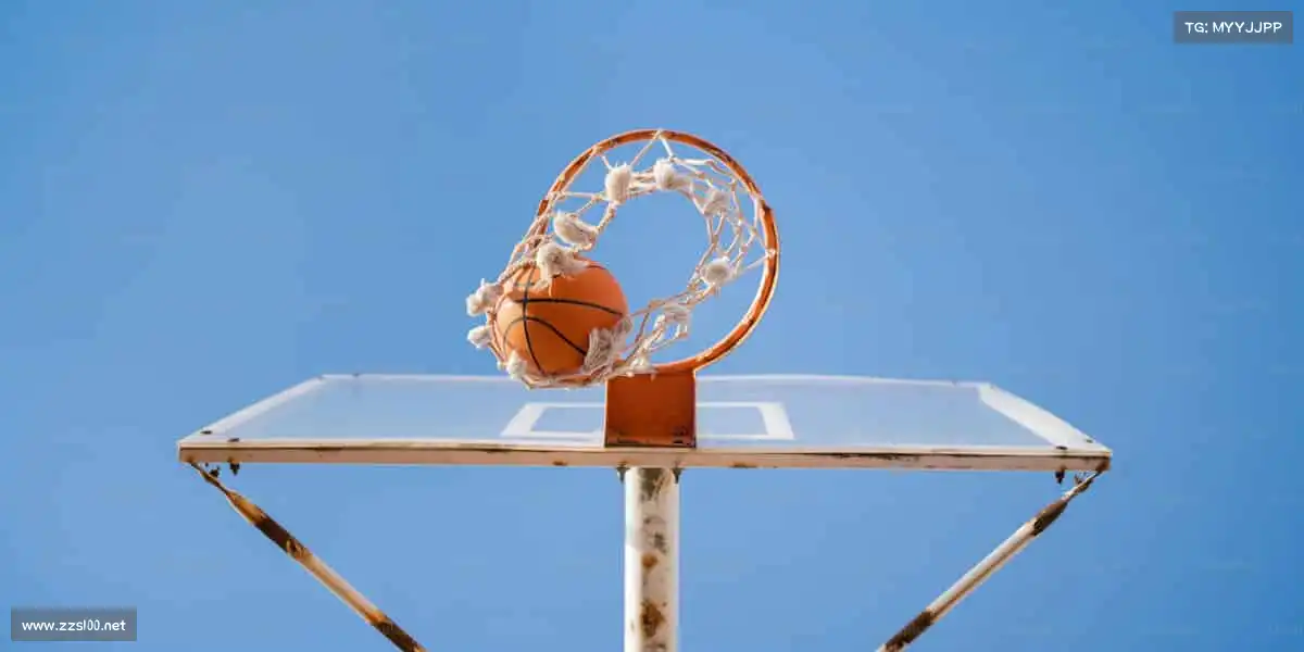 十大正规平台——🏇🌄驾驭风的方向,追逐梦想!